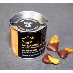 MANGO BIO RICOPERTO DI CIOCCOLATO FONDENTE ARRIBA NACIONAL 75%